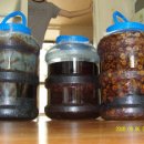 산수유한약국 이미지