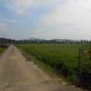 뉴파주부동산공인중개사사무소 이미지