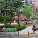 서부간선도로 이미지