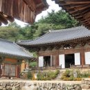 일상의 발견 이미지