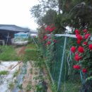 보경농장 이미지