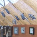 동해곤충농장 이미지