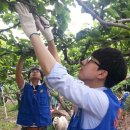 성환배영농조합법인 이미지