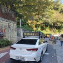 주정차단속-21 이미지