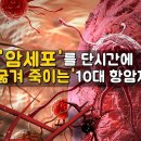 '암세포'를 단시간에 '굶겨 죽이는' 10대 항암제 이미지