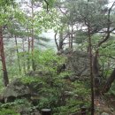 왕피천생태탐방로 이미지