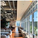 숲소리 북카페 | 강원도 양양 하조대, 솔숲뷰가 예쁜 대형 북카페 &#39;카페로그&#39;