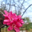 오음공원 이미지