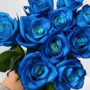 예송 농장 이미지