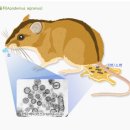 한타 머니투데이