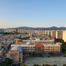 단산포도식당 이미지