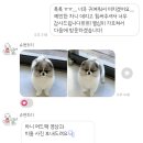 슈앤트리 이미지