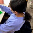 일진태권도장 이미지