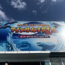 씨월드 | 거제 아이랑 여행 씨월드 방문후기 총정리