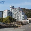 광양덕례초등학교 네이버블로그