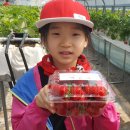 김태경 농장 이미지