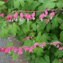 여강길(11코스 동학의길) 이미지