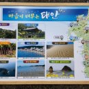 롱비치패밀리호텔 이미지