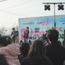 오롯이오늘 | 김포 사우동 계양천 오롯이벚꽃 축제 현장 후기
