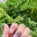 Nail soon(네일순)
