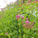 우정민박 이미지