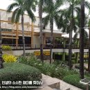 시티은행 건너편 이미지