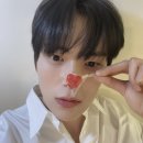 댕프로 이미지