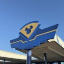 winning dog story's | 올랜도 디즈니월드 핵심 요약 !! 1편