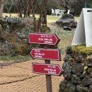 6806 | [제주 아기랑 갈만한곳] 길갈 팜랜드 - 아기와 방문한 후기