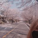 돈오락쪽갈비 사직점 | 아직 봄이오기까지는 꽤나 남아 있으니까
