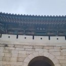 종호농장 Daum카페