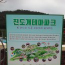 진도개테마파크 이미지