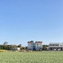 가라지하우스 이미지