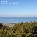 은총 Daum카페