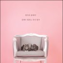 화수주유소 화장실 | (대구/달서구/장기동) 대구 스튜디오, 반려묘 스튜디오, 반려동물 촬영, 대구 가족사진, 내가 찾는...