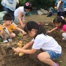 김장진농장 파이낸셜뉴스