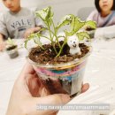 모두아트스튜디오미술교습소