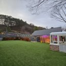 트리몰리 이미지