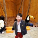 대저유치원 이미지