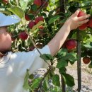 옥이농장 이미지