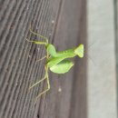 비하당구장 이미지