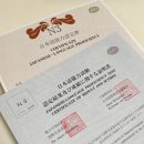 일본어 JLPT 자격증반(N3) | 일본어 비전공자 직장인 JLPT N3 합격후기(미니학습지, 회독 JLPT 단어장)