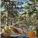 고릴라마켓 - 광주시 양벌로 288 | 치앙마이 코코넛 마켓 후기 주말에 꼭 가야하는 치앙마이 마켓