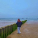 맘모스의류타운 이미지