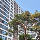 도연공인중개사사무소 이미지