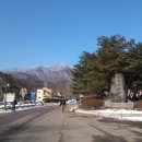 용문산 둥지 이미지