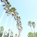 한림공원 이미지