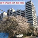 내서읍407 이미지