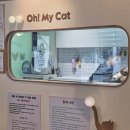 단골간식가게용흥점 | 의정부 고양이 무마취 미용 '오마이캣' 4년 차 찐 단골 내돈내산 솔직 후기!
