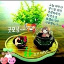 잊지 마, 대전 ‘먹킷리스트’…후루룩 한입에 ‘밀부심’ 가득